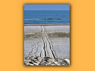 Am Strand von Nymindegab (9).jpg